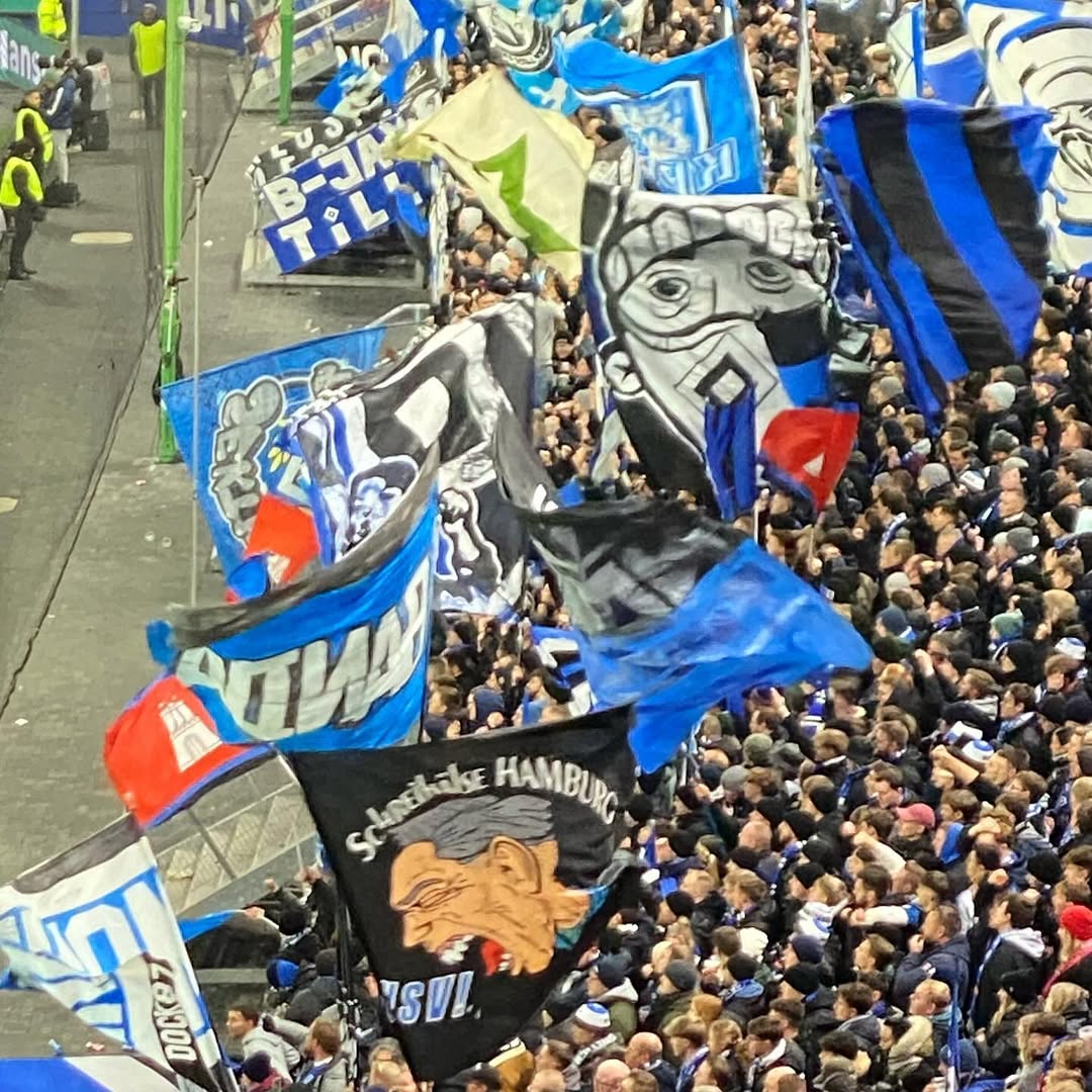 Hamburger SV – FC Schalke 04 2-2 (24)