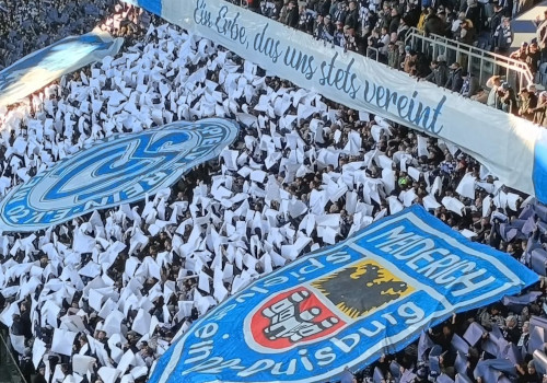 MSV Duisburg – Sportfreunde Lotte 1-0 (4)