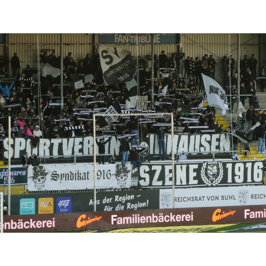 SV Sandhausen – Dynamo Dresden 2-4 (1)