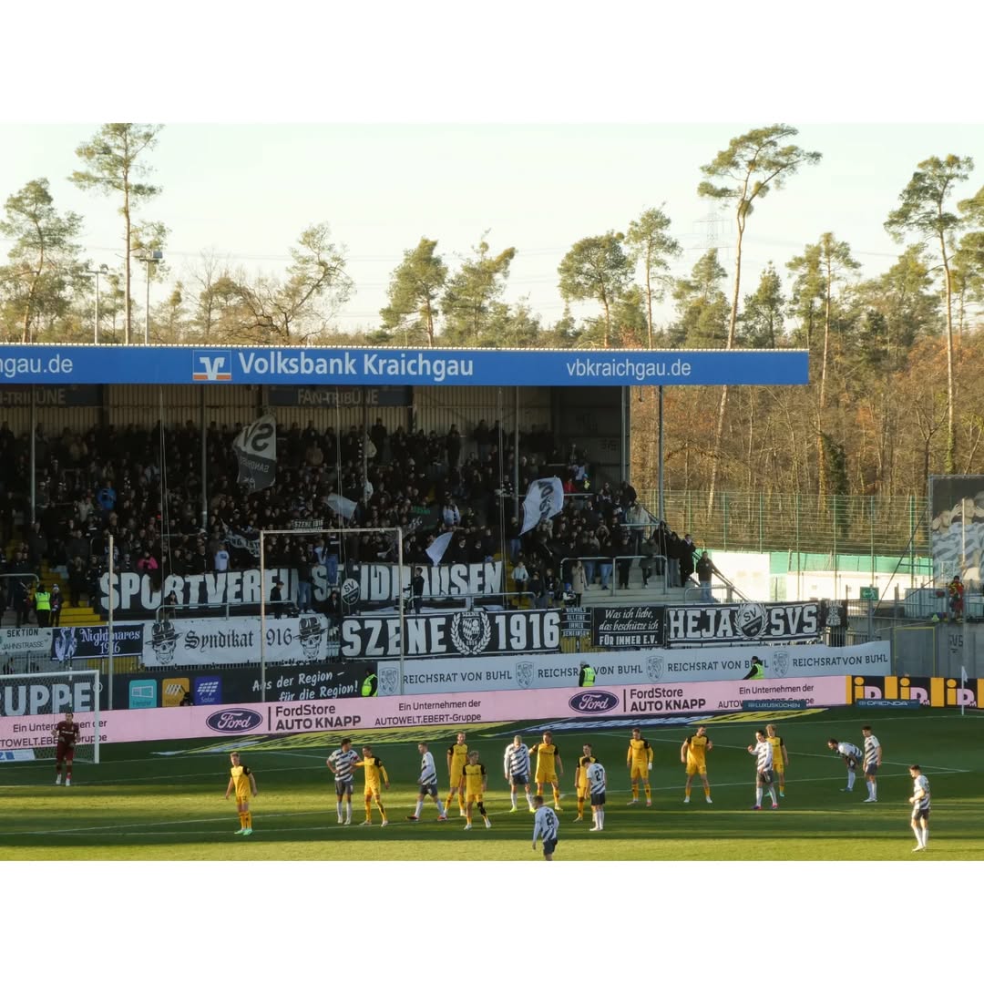 SV Sandhausen – Dynamo Dresden 2-4 (3)