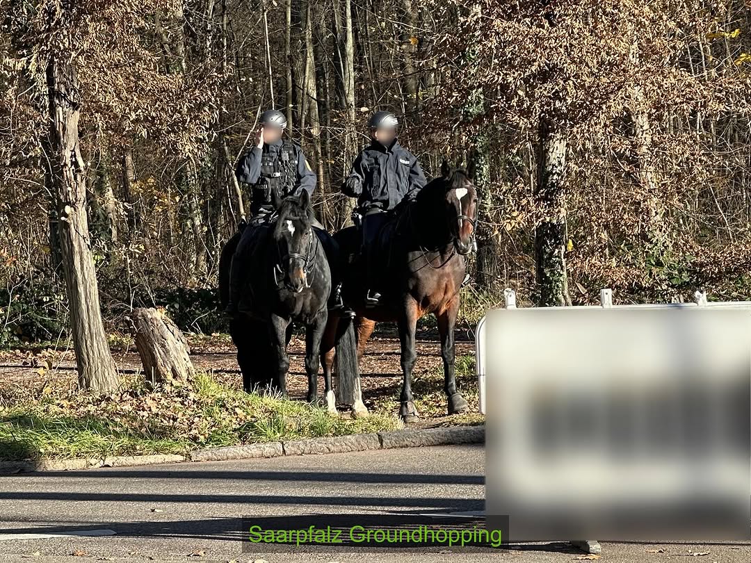 Stuttgarter Kickers – FC Homburg 3-0 (3)