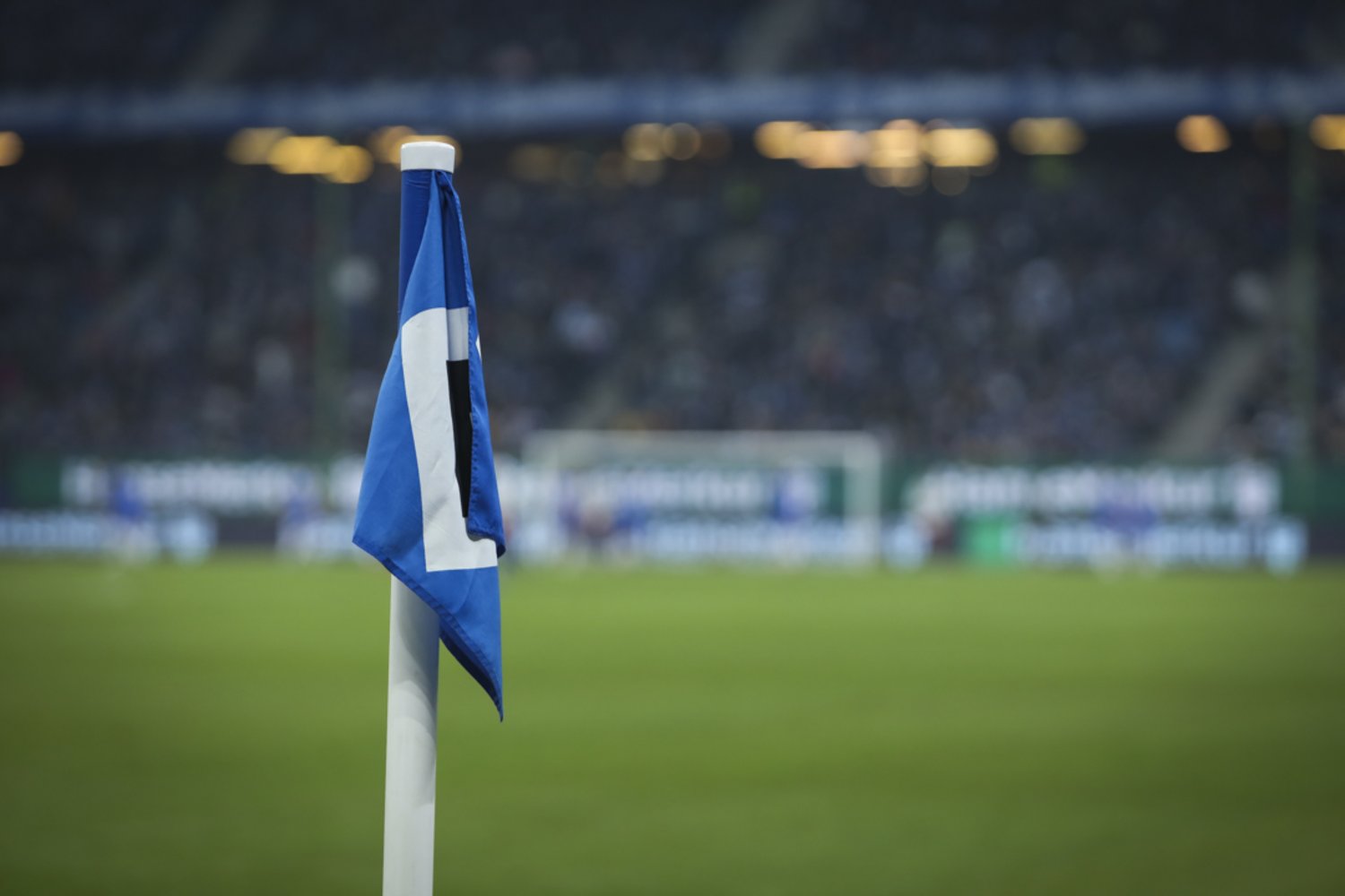Hamburger SV – SV Darmstadt 98 2-2 (10)
