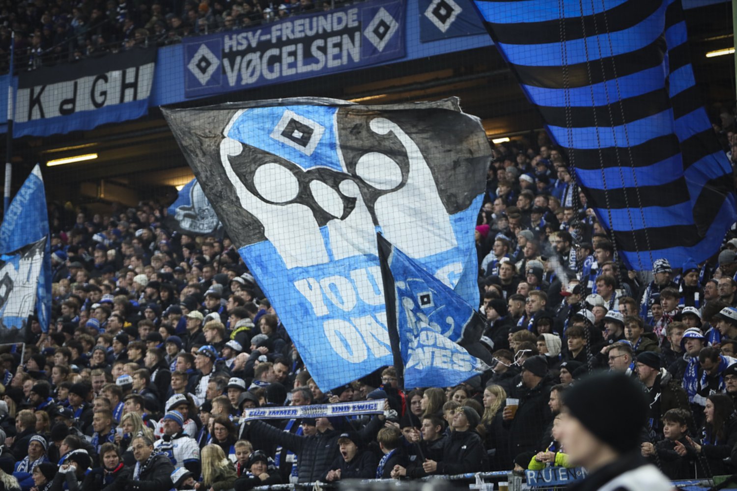 Hamburger SV – SV Darmstadt 98 2-2 (14)