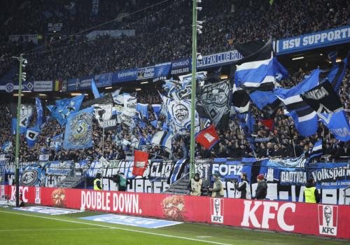 Hamburger SV – SV Darmstadt 98 2-2 (21)