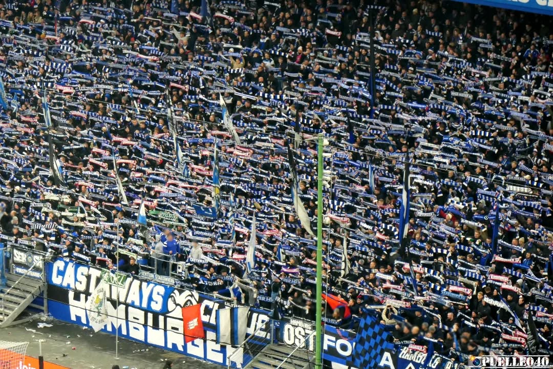 Hamburger SV – SV Darmstadt 98 2-2 (25)