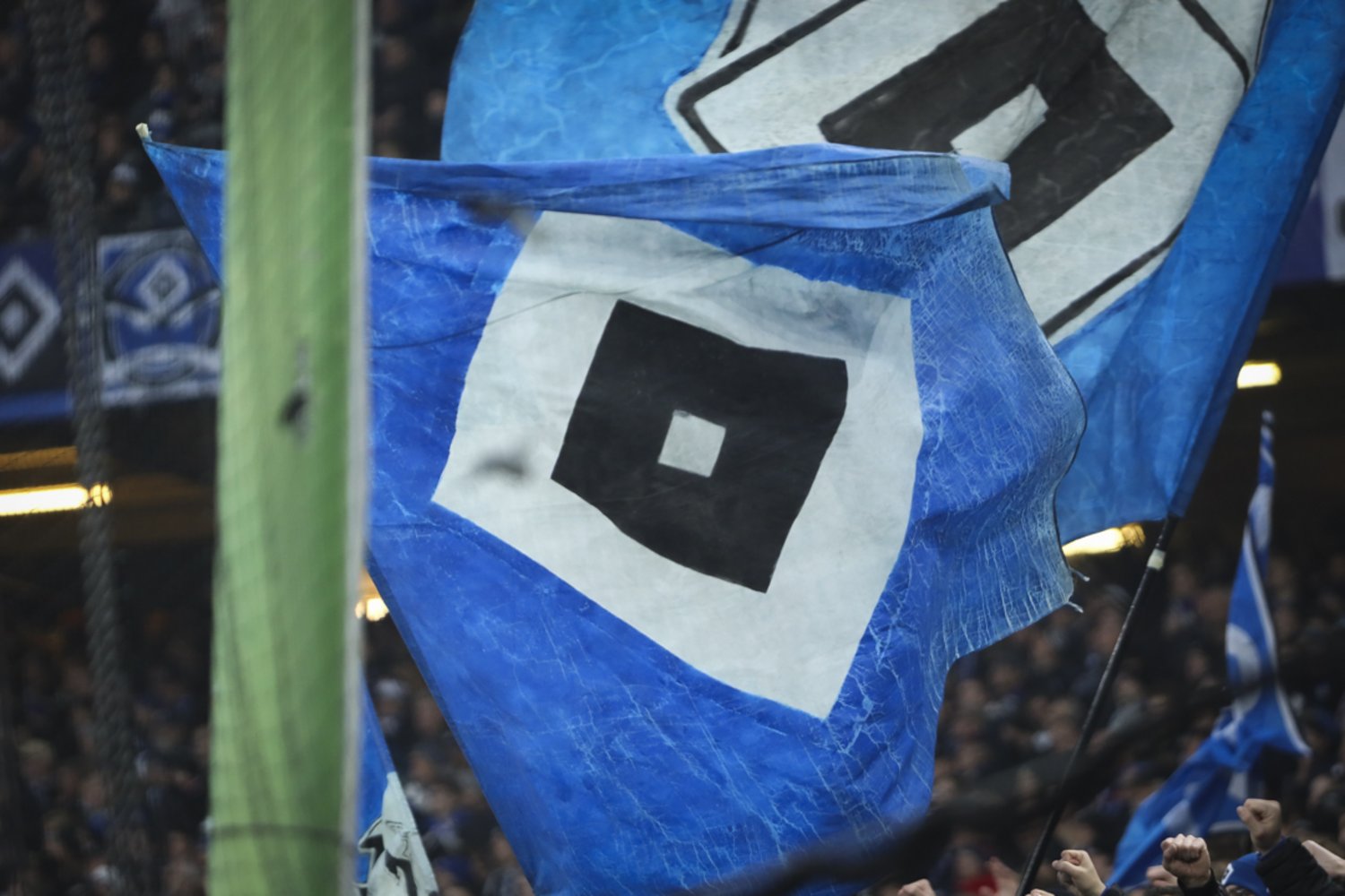 Hamburger SV – SV Darmstadt 98 2-2 (28)