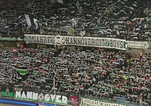 Hannover 96 – SSV Ulm 1846 3-2 (5)