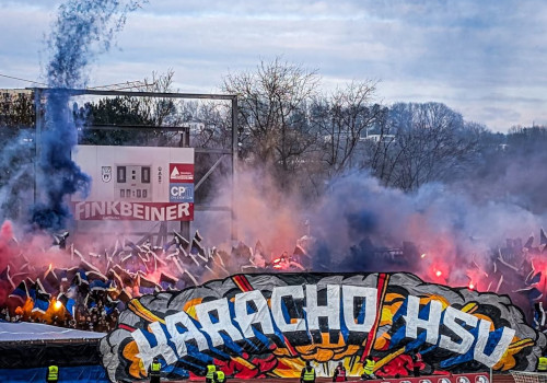 SSV Ulm 1846 – Hamburger SV 1-1 (10)