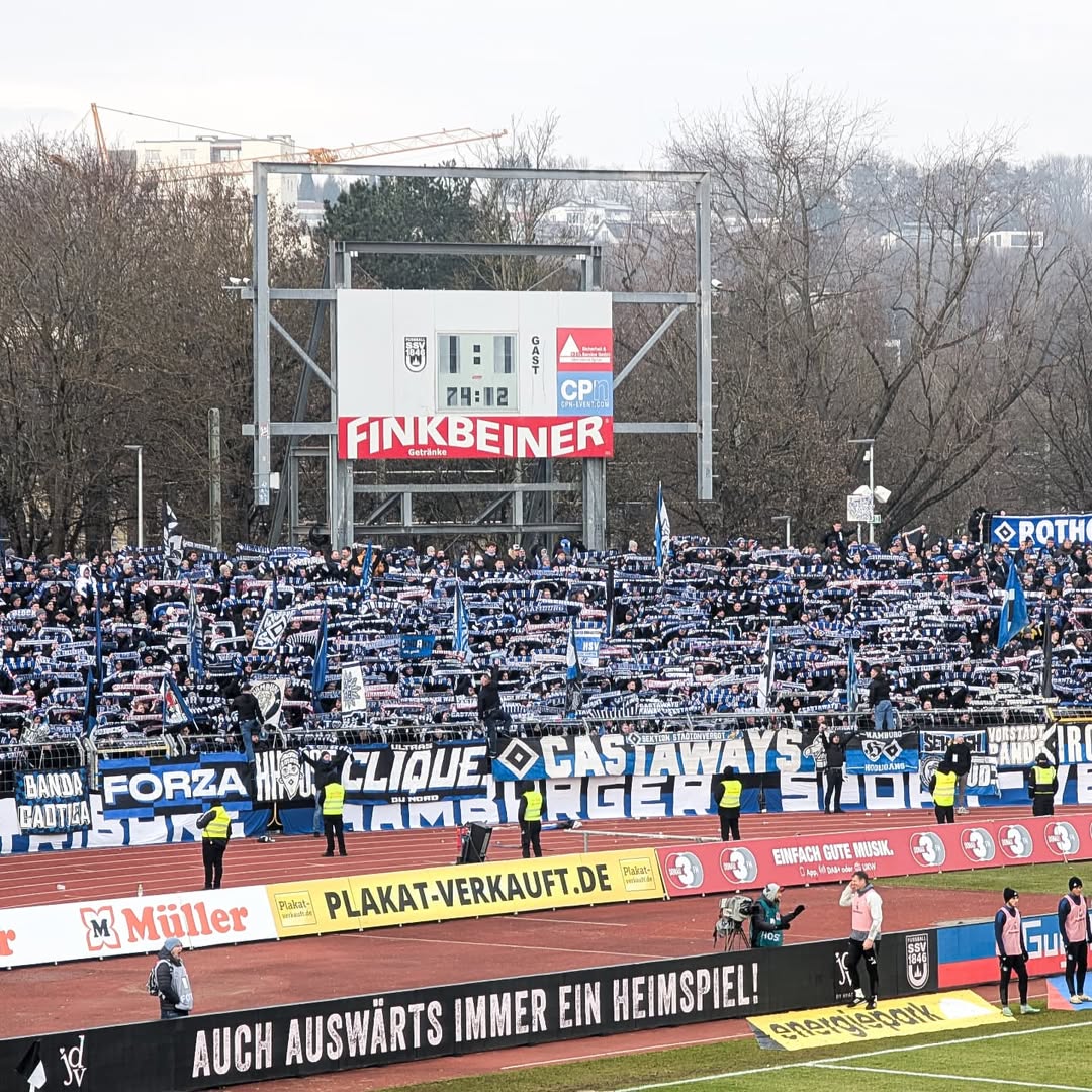SSV Ulm 1846 – Hamburger SV 1-1 (15)