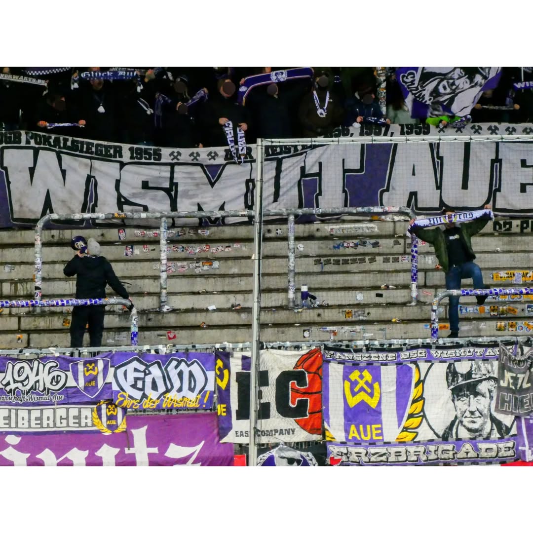 SV Sandhausen – FC Erzgebirge Aue 4-6 (1)