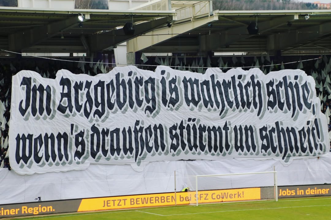FC Erzgebirge Aue – TSV 1860 München 3-1 (1)