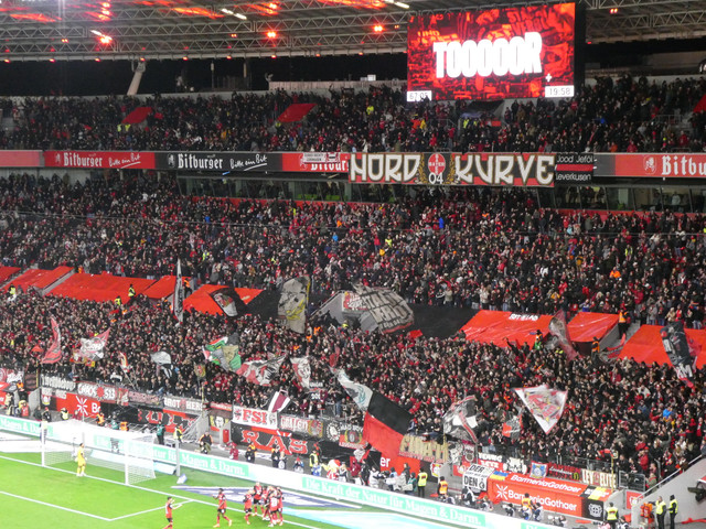 Bayer 04 Leverkusen – SC Freiburg 5-1 (33)