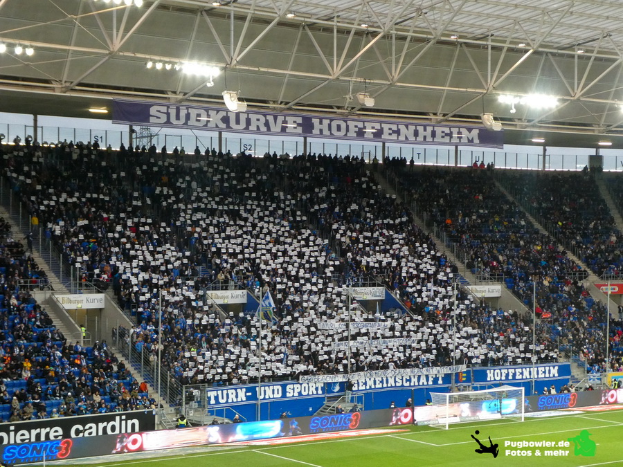 TSG Hoffenheim – Borussia Mönchengladbach 1-2 (9)