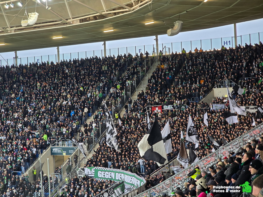 TSG Hoffenheim – Borussia Mönchengladbach 1-2 (11)