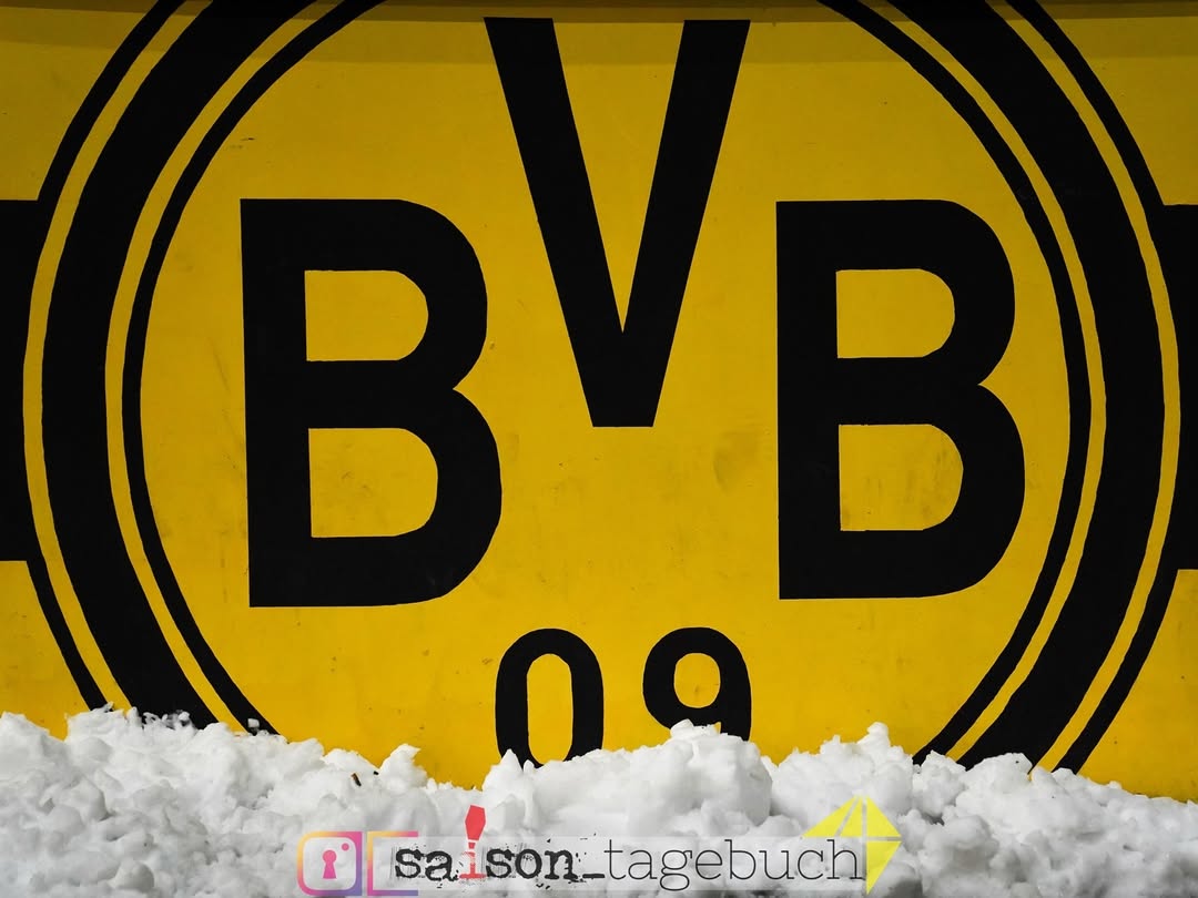 Borussia Dortmund – Bayer 04 Leverkusen 2-3 (7)