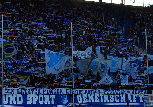TSG Hoffenheim – VfL Wolfsburg 0-1 (9)