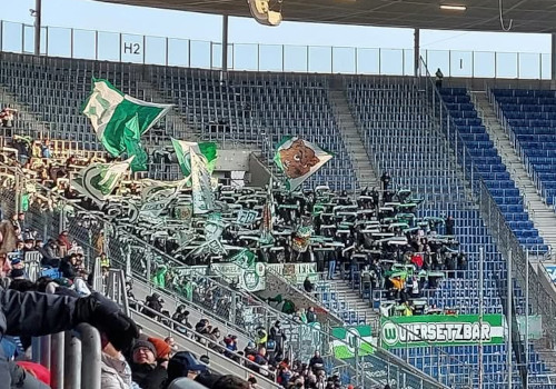 TSG Hoffenheim – VfL Wolfsburg 0-1