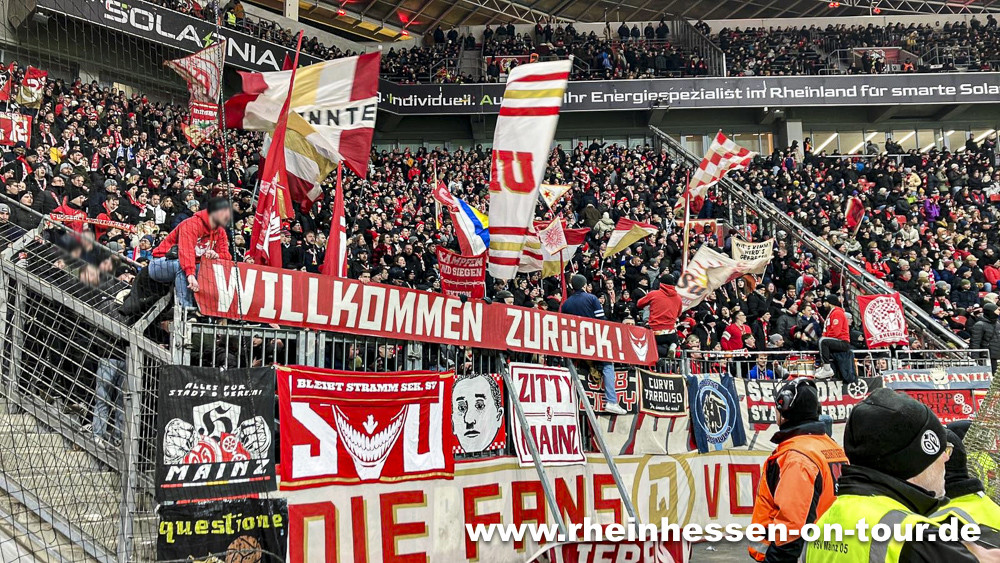 Bayer 04 Leverkusen – 1. FSV Mainz 05 1-0 (11)