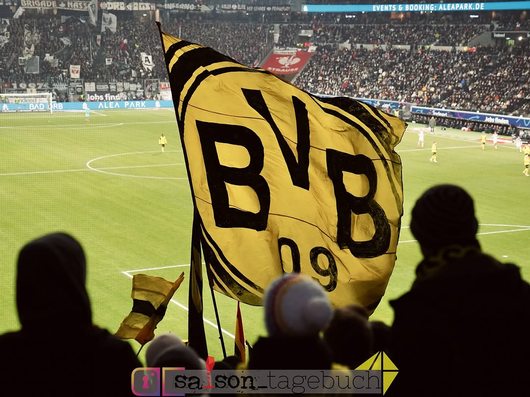 Eintracht Frankfurt – Borussia Dortmund 2-0 (13)
