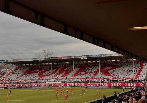FC Energie Cottbus – Dynamo Dresden 1-1 (49)