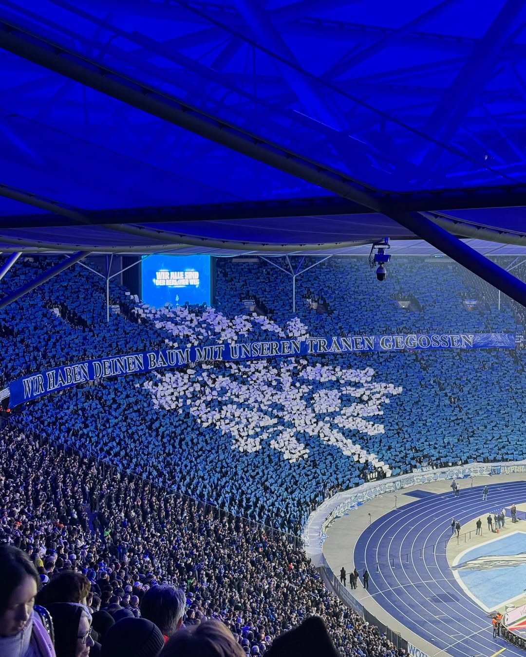 Hertha BSC – Hamburger SV (3)