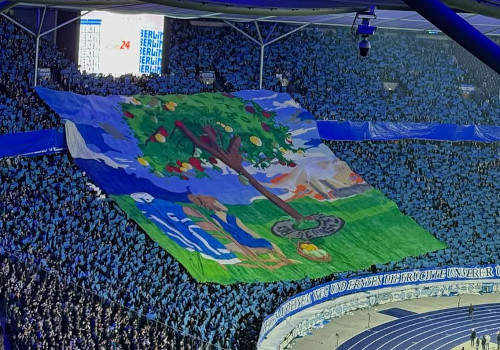 Hertha BSC – Hamburger SV (4)