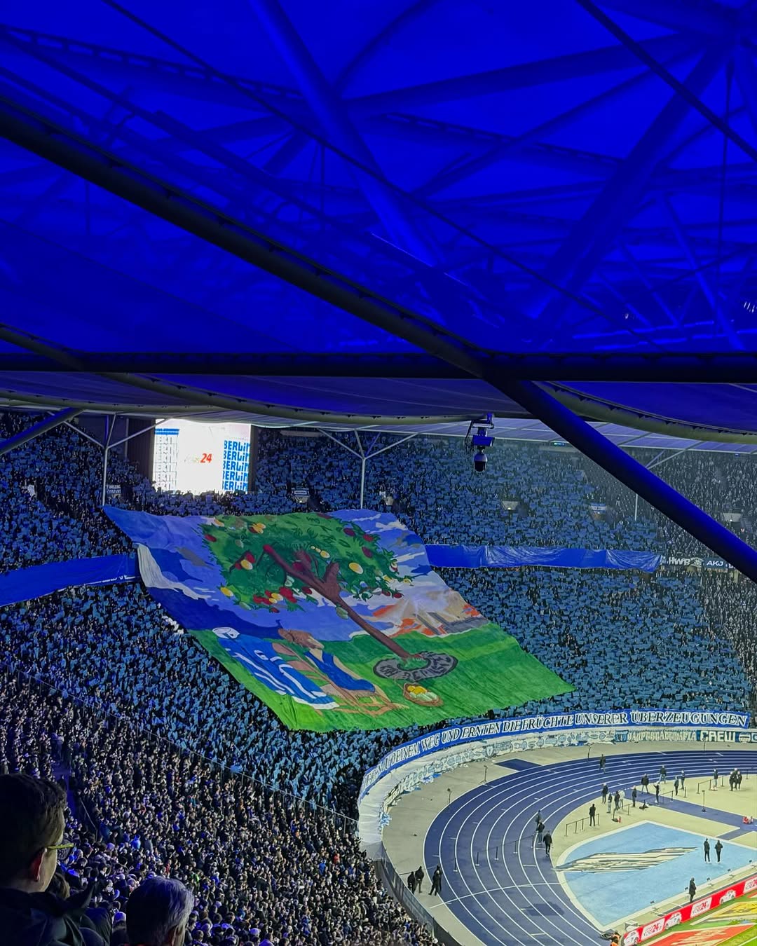 Hertha BSC – Hamburger SV (5)