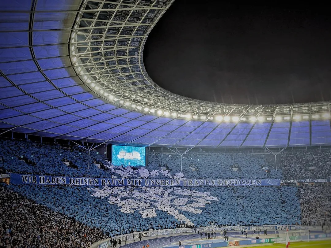 Hertha BSC – Hamburger SV (6)