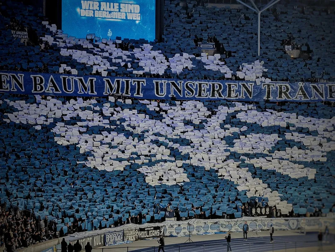 Hertha BSC – Hamburger SV (7)