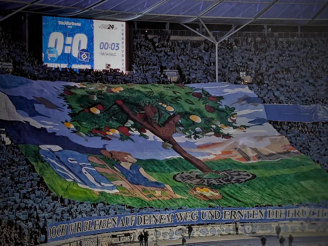 Hertha BSC – Hamburger SV (8)