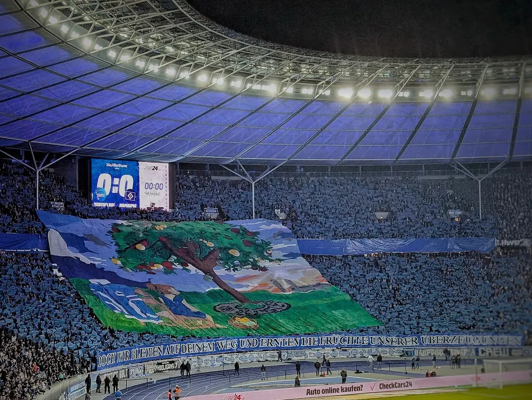 Hertha BSC – Hamburger SV (11)