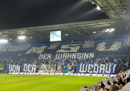 MSV Duisburg – Rot-Weiß Oberhausen 0-2 (10)