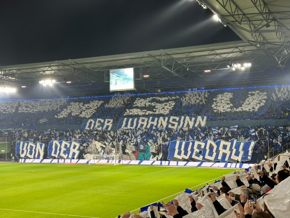 MSV Duisburg – Rot-Weiß Oberhausen 0-2 (13)