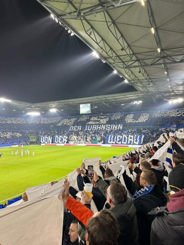 MSV Duisburg – Rot-Weiß Oberhausen 0-2 (15)