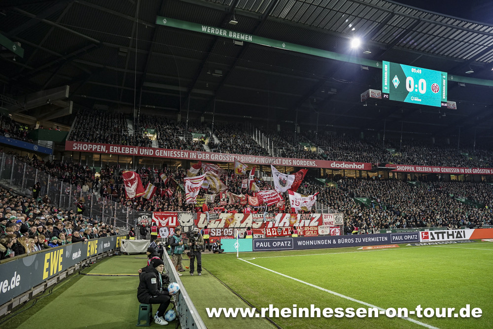 Werder Bremen – 1. FSV Mainz 05 1-0