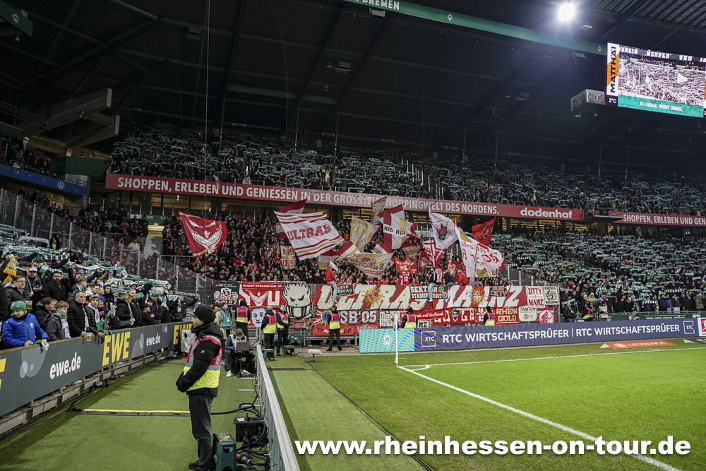 Werder Bremen – 1. FSV Mainz 05 1-0 (3)