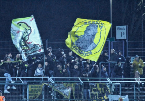 Hertha BSC ll – VFC Plauen 3-1 (3)