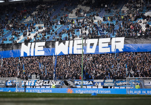 Hamburger SV – Hannover 96 2-2 (8)