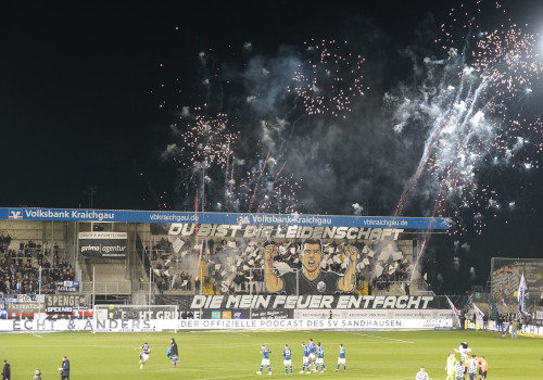 SV Sandhausen – DSC Arminia Bielefeld 1-0 (7)
