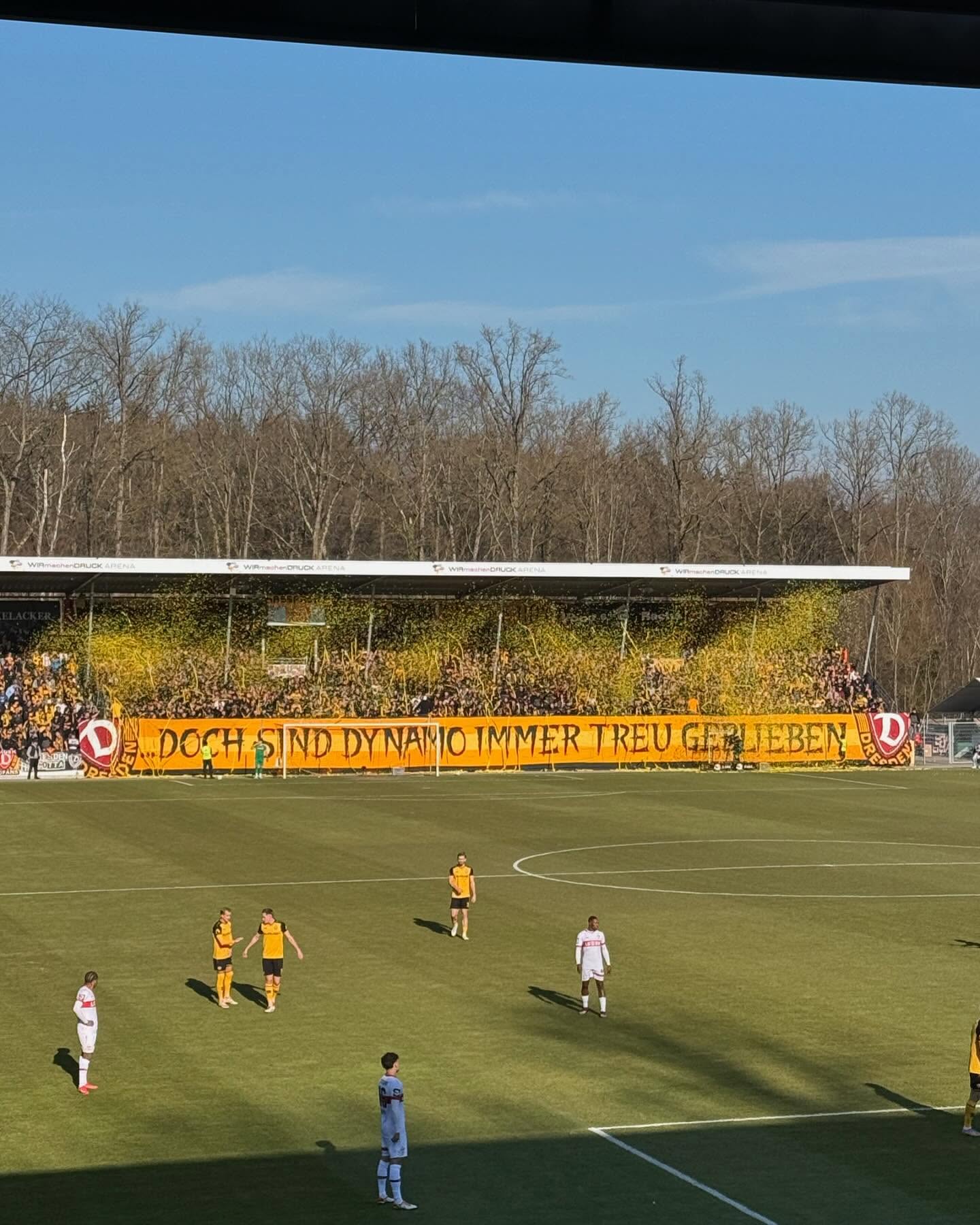 VfB Stuttgart ll – Dynamo Dresden 2-1 (3)