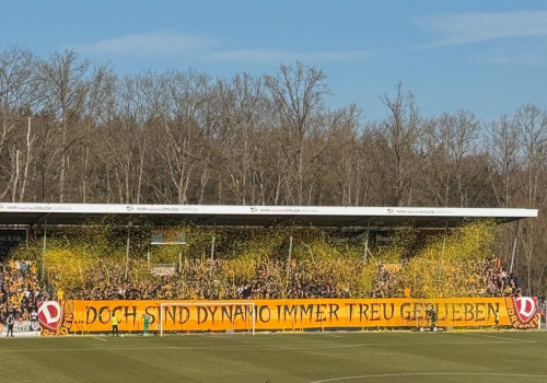 VfB Stuttgart ll – Dynamo Dresden 2-1 (4)