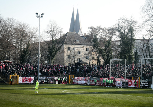 VSG Altglienicke – Hallescher FC 1-2 (7)