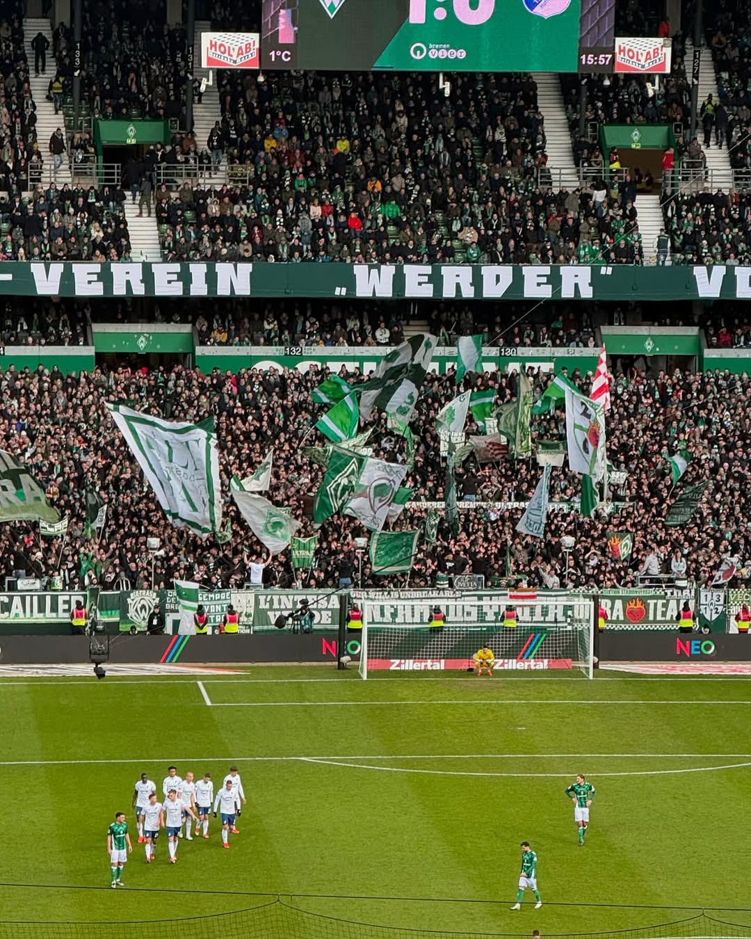 Werder Bremen – TSG Hoffenheim 1-3 (11)