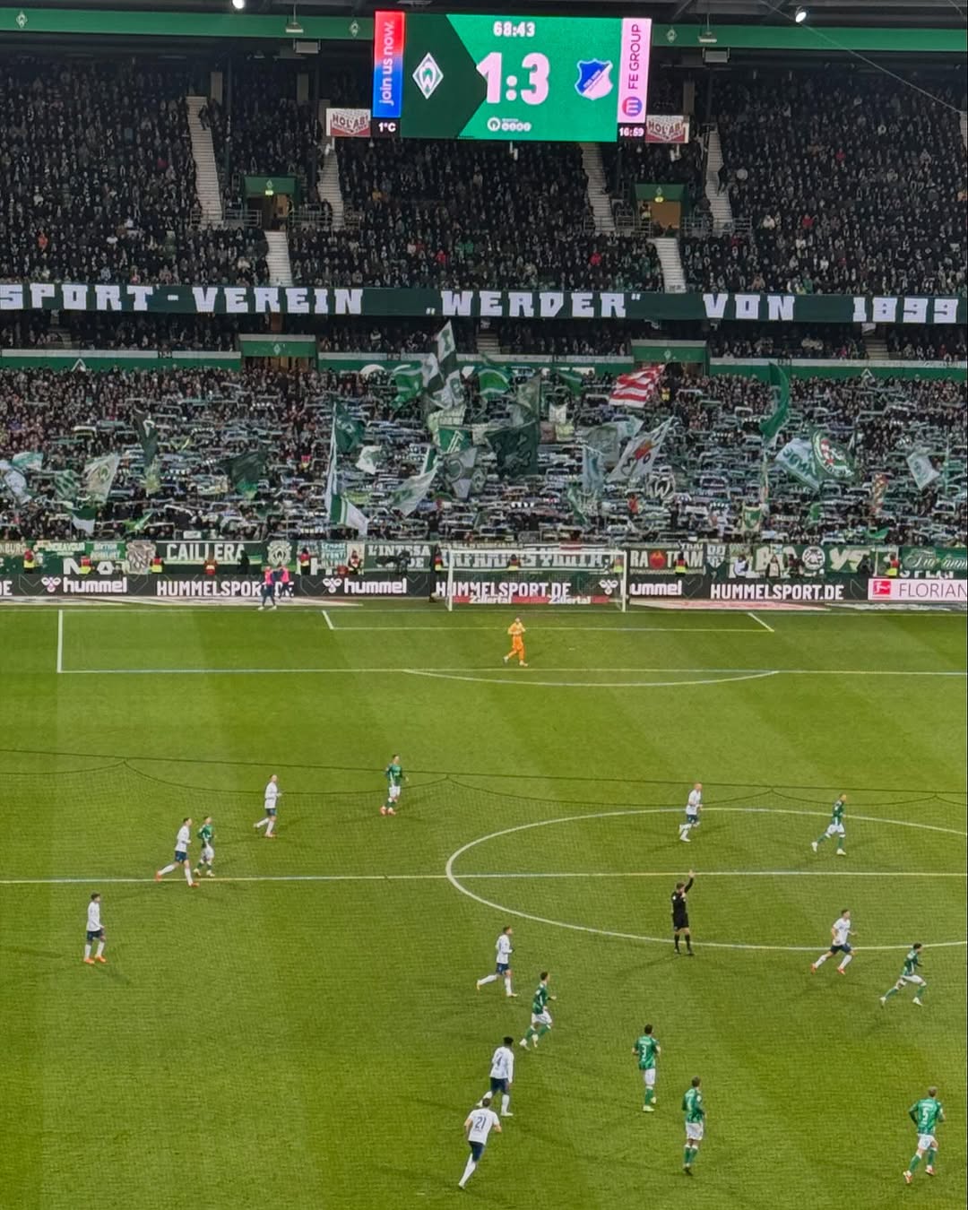 Werder Bremen – TSG Hoffenheim 1-3 (19)