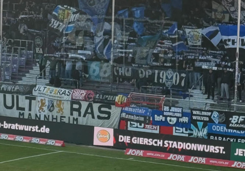 VfL Osnabrück – SV Waldhof Mannheim 1-1 (3)