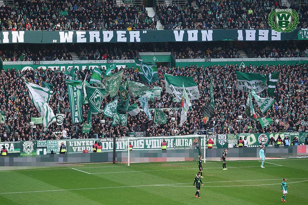 Werder Bremen – VfL Wolfsburg 1-2 (5)