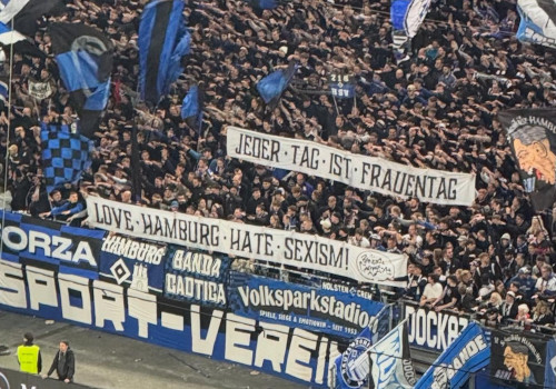 Hamburger SV – Fortuna Düsseldorf 4-1 (6)