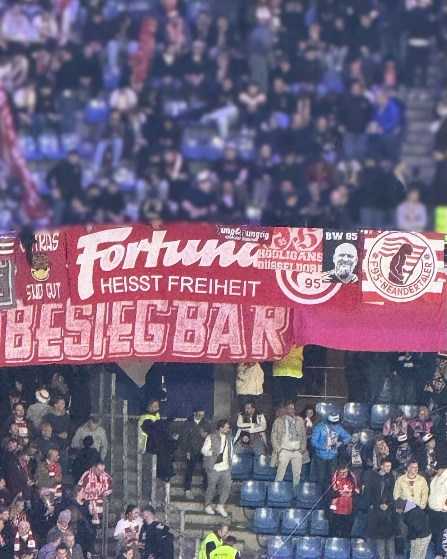 Hamburger SV – Fortuna Düsseldorf 4-1 (1)