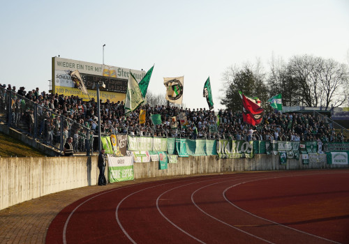 VFC Plauen – BSG Chemie Leipzig 1-2 (2)