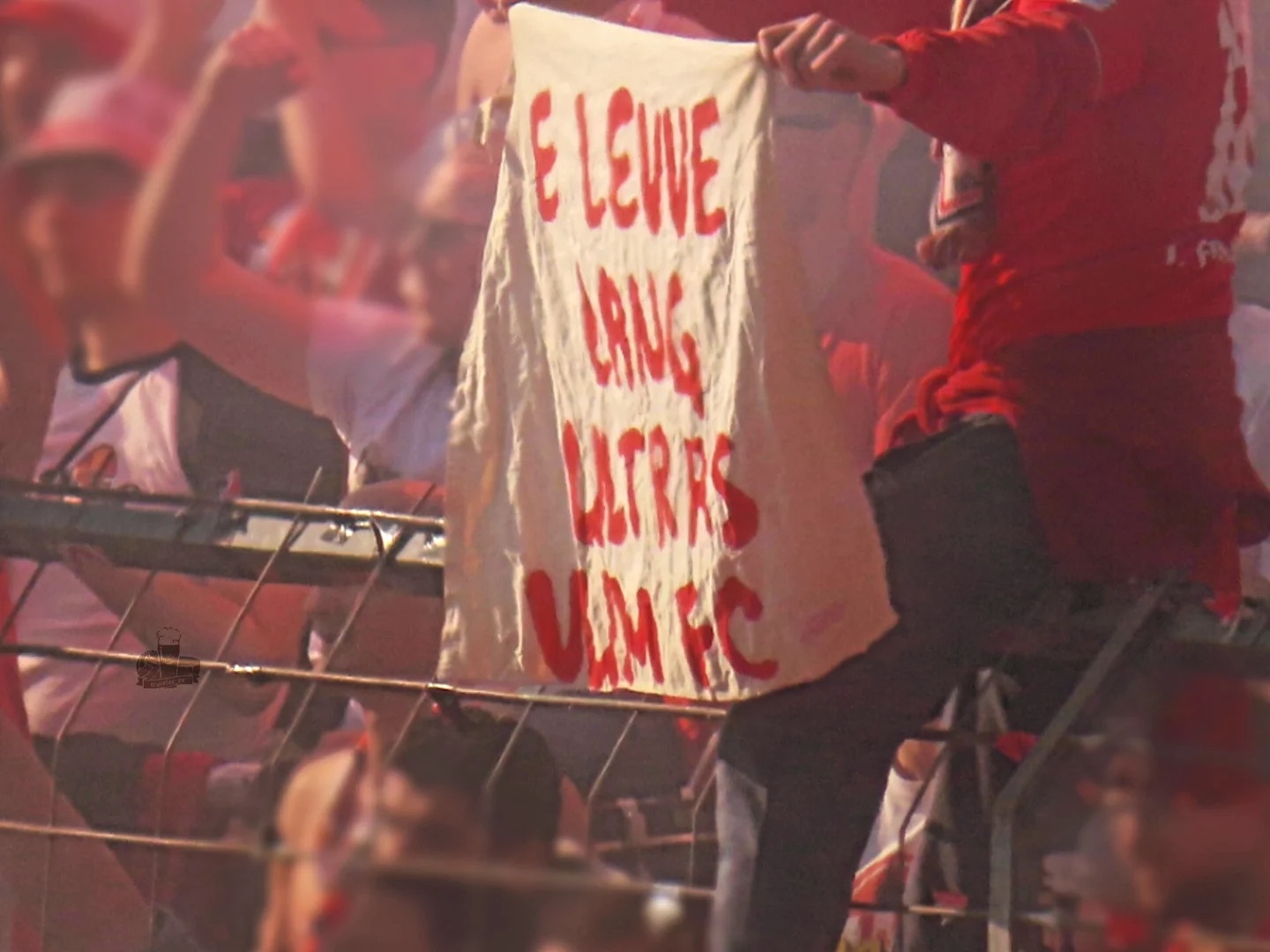 SSV Ulm 1846 – 1. FC Köln 0-1 (5)